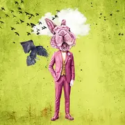 Anatomie d’une illusion