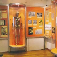 Anatomisches Museum der Universität Basel &copy; DR