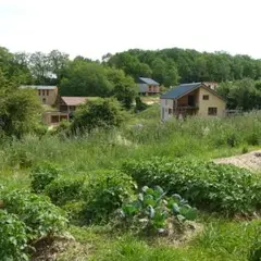 Andralofolies