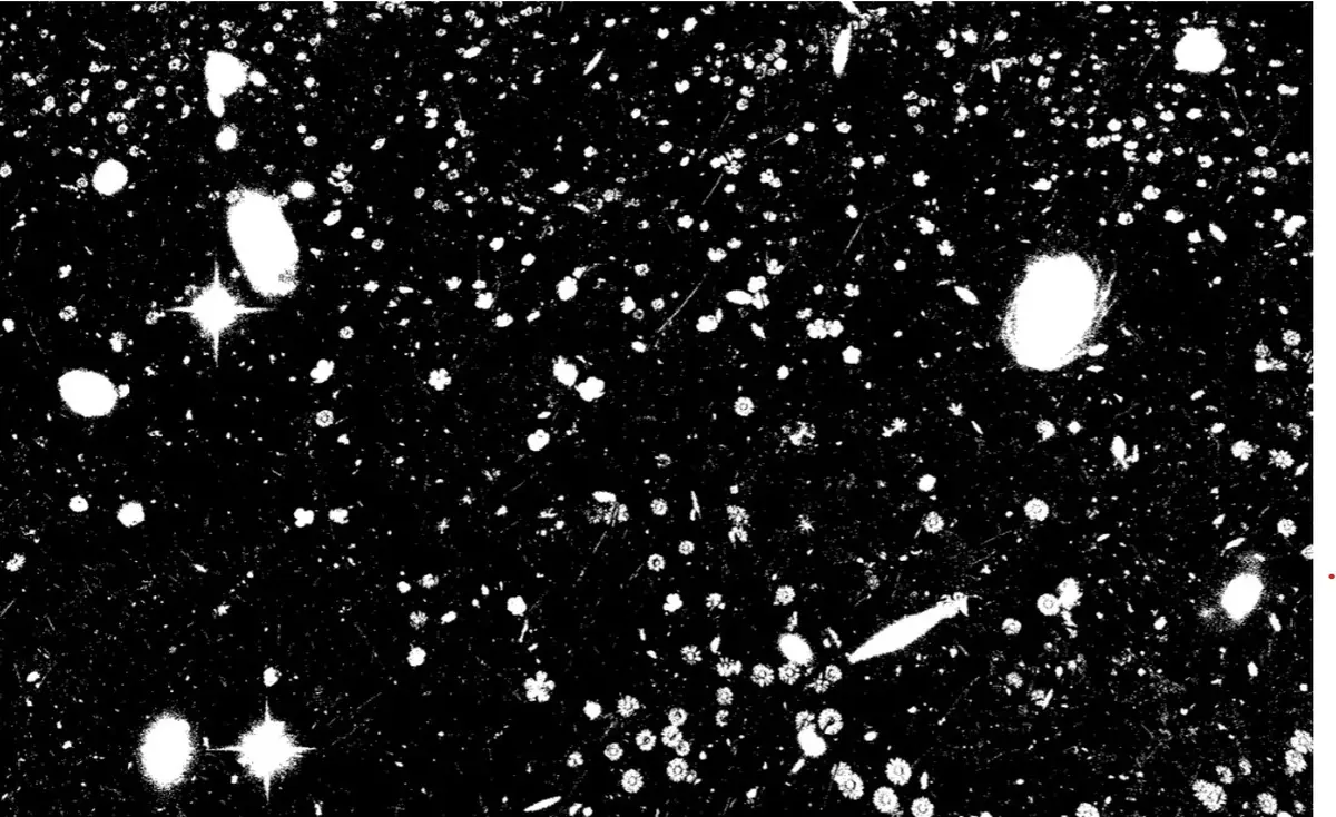 Angela Detanico et Rafael Lain : Champ étoilé