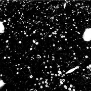 Angela Detanico et Rafael Lain : Champ étoilé