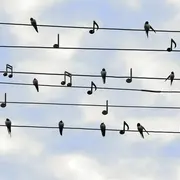 Anim’ en terrasse