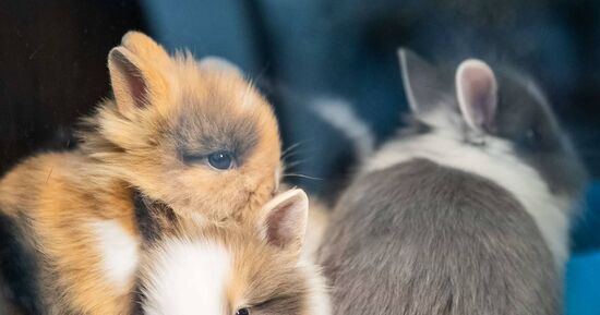 Top 13 des id&eacute;es sorties pour ce week-end &agrave; Paris (du 13 au 15 mars 2026)