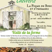 Animation à la chèvrerie du Bouc et d'fromages