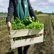 Animation à la Cueillette de L'Aragnon