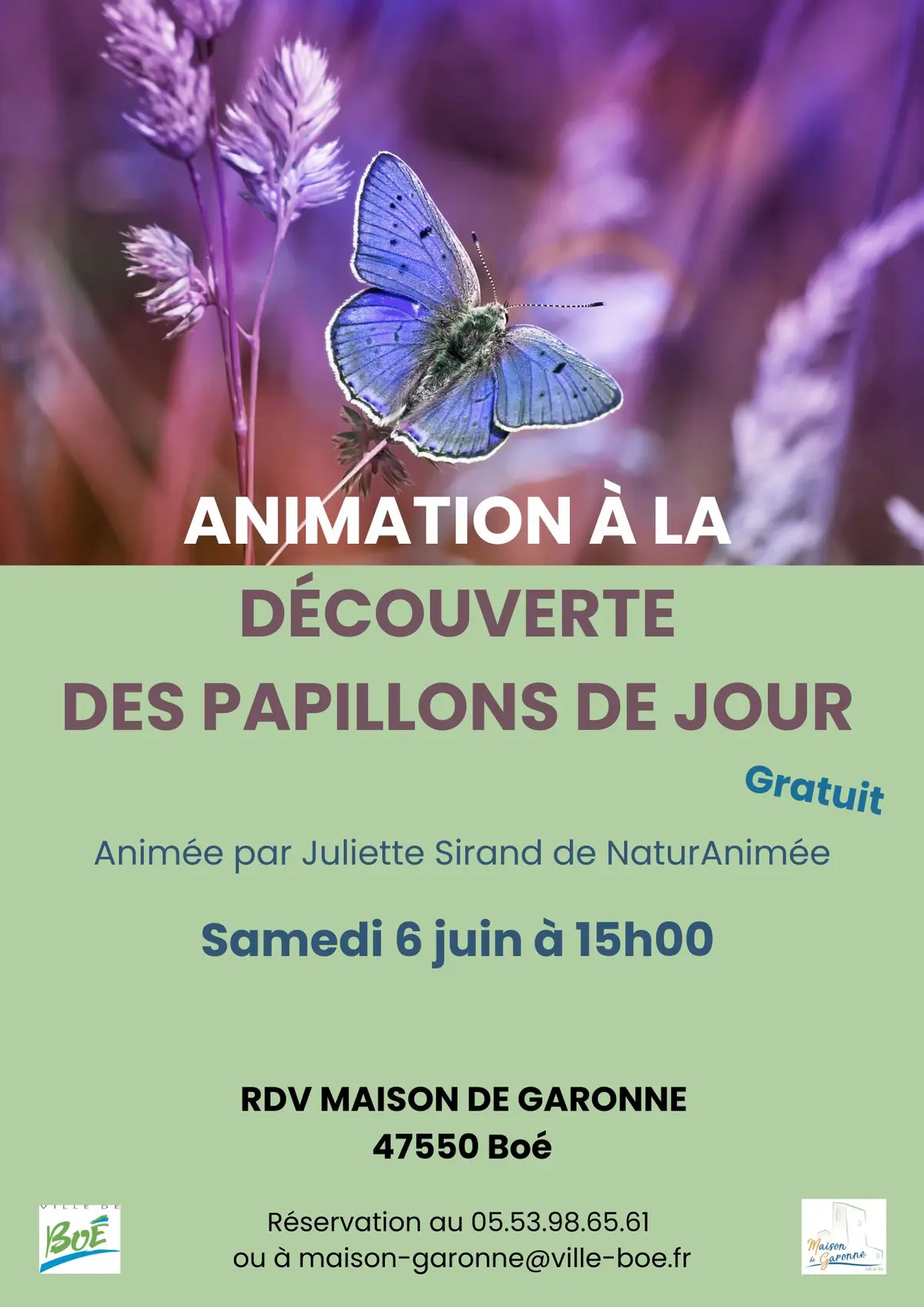 Animation à la découverte des papillons de jour