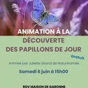 Animation à la découverte des papillons de jour
