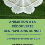 Animation à la découverte des papillons de nuit