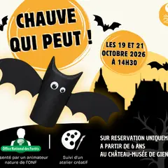 Animation/Atelier créatif : Chauve qui peut !