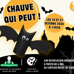 Animation/Atelier créatif : Chauve qui peut !