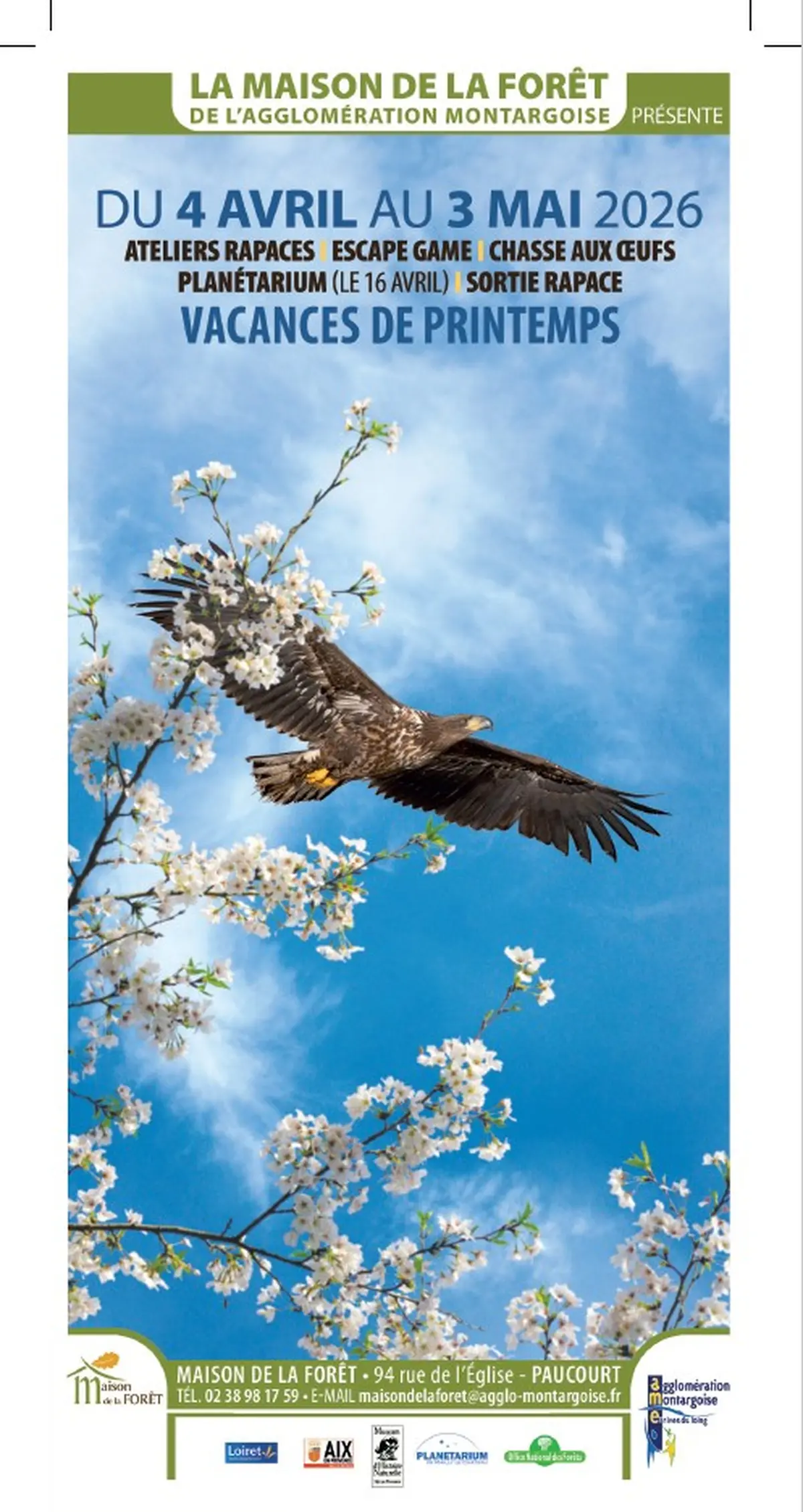 Animation – Chasse aux œufs de rapaces spéciale pâques