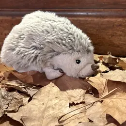 Animation contée : Le premier automne de Simon le hérisson