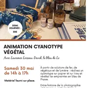 Animation cyanotype végétal