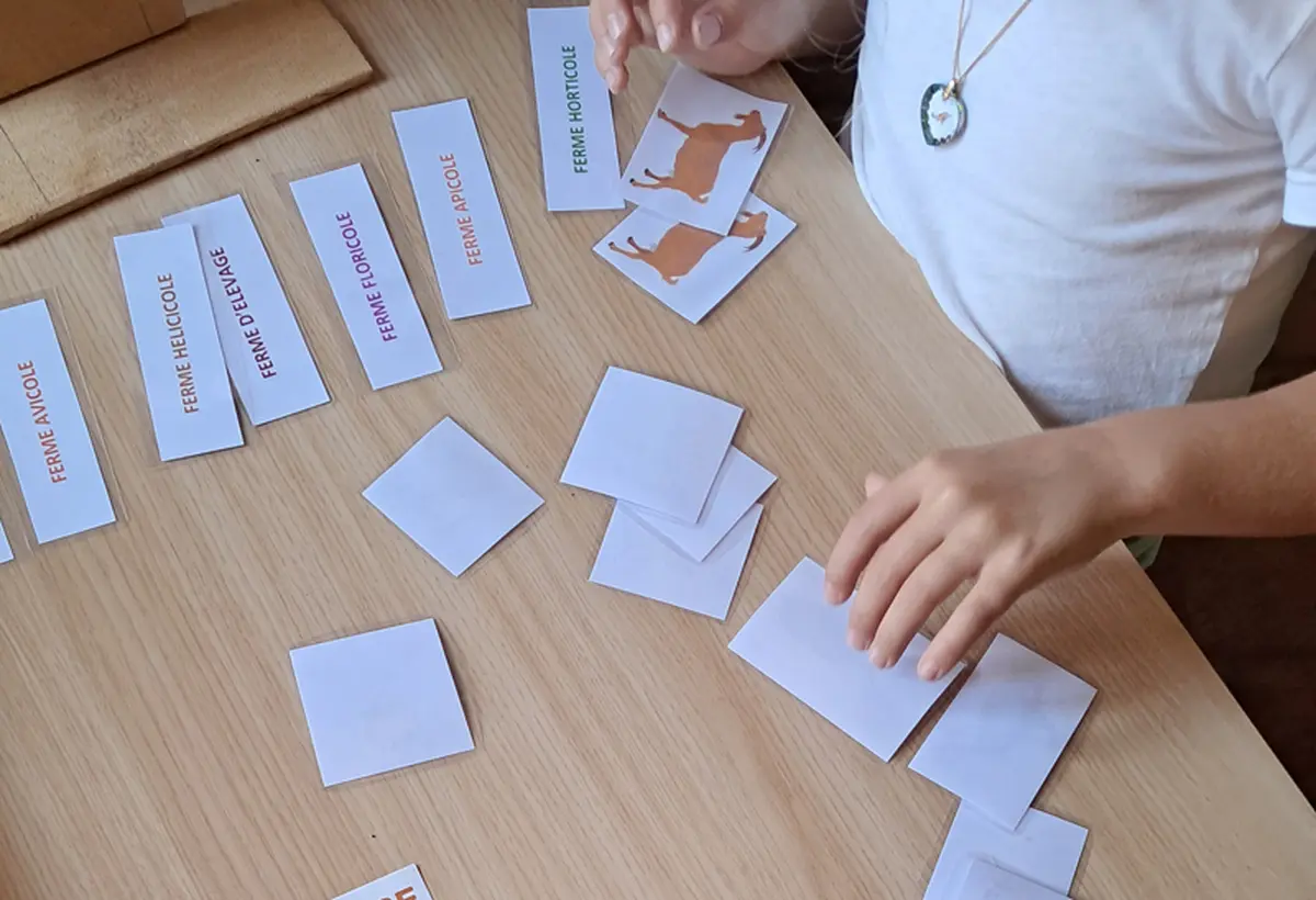 Animation de l'été Productions locales, un lien avec le monde végétal