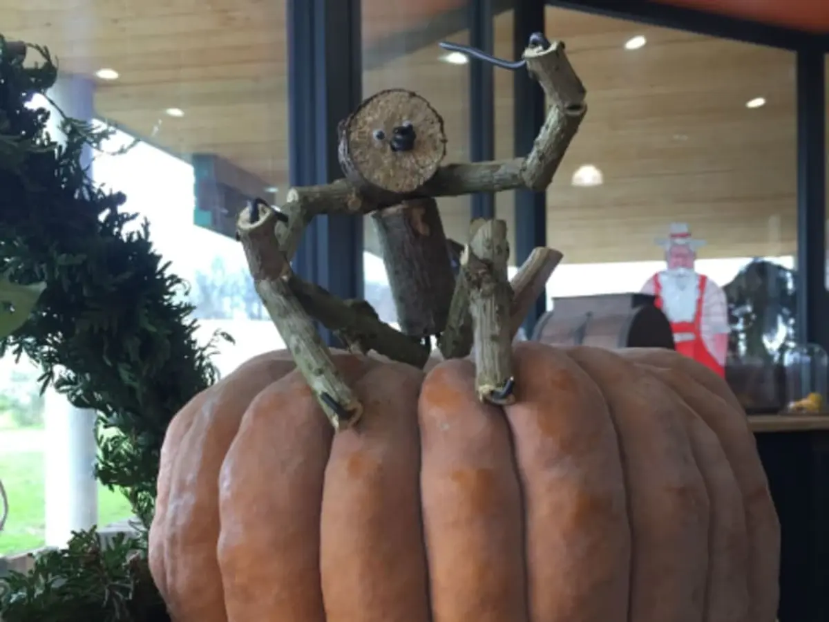 Animation de Noël, Conte et Jouets en bois à Montardon (64)