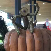 Animation de Noël, Conte et Jouets en bois à Montardon (64)