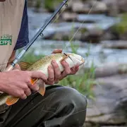 Animation découverte de la pêche à la truite