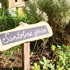 Animation du potager à Terres d'Oiseaux