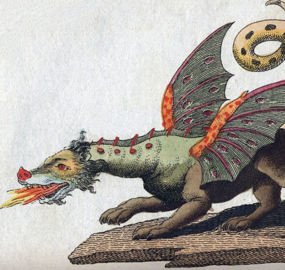 Animation : Et toi, quel est ton dragon ?