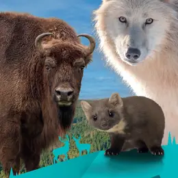 Animation et visite guidée