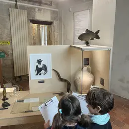 Animation famille Sur les traces de la mystérieuse bête du Vaccarès