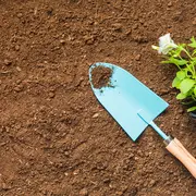 Animation familles : Jardinage