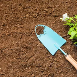 Animation familles : Jardinage