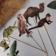 Animation hors les murs Plumes, poils, écailles, coquilles à la Bibliothèque des 5 avenues