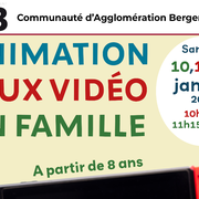 Animation jeux vidéo en famille