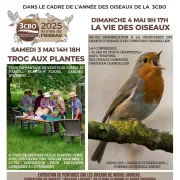Animation Le Paradiöxe