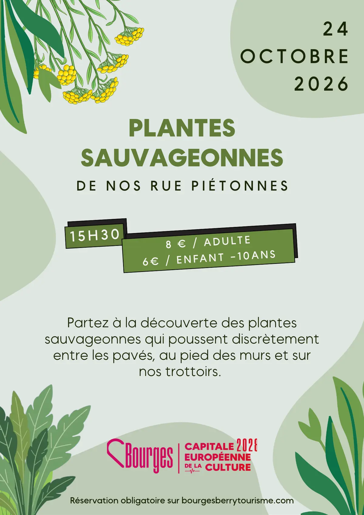 Animation : Les Plantes Sauvageonnes De Nos Rues Piétonnes