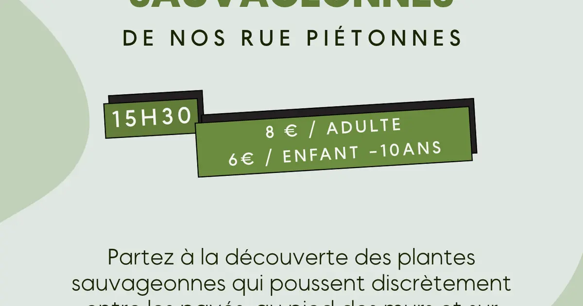 Animation : Les Plantes Sauvageonnes De Nos Rues Piétonnes