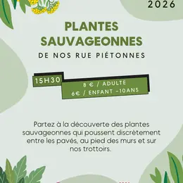 Animation : Les Plantes Sauvageonnes De Nos Rues Piétonnes