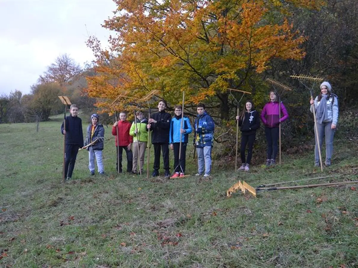 Animation - Mission Nature Ados !