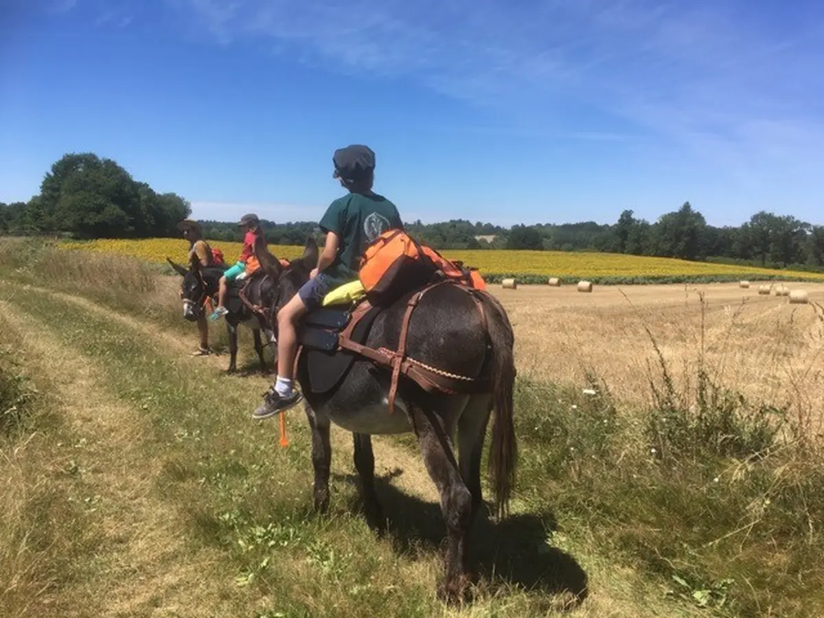 Animation multi-activités autour des ânes.