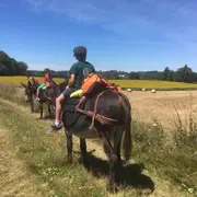 Animation multi-activités autour des ânes.