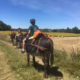 Animation multi-activités autour des ânes.