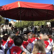 Animation musicale avec Hirukote