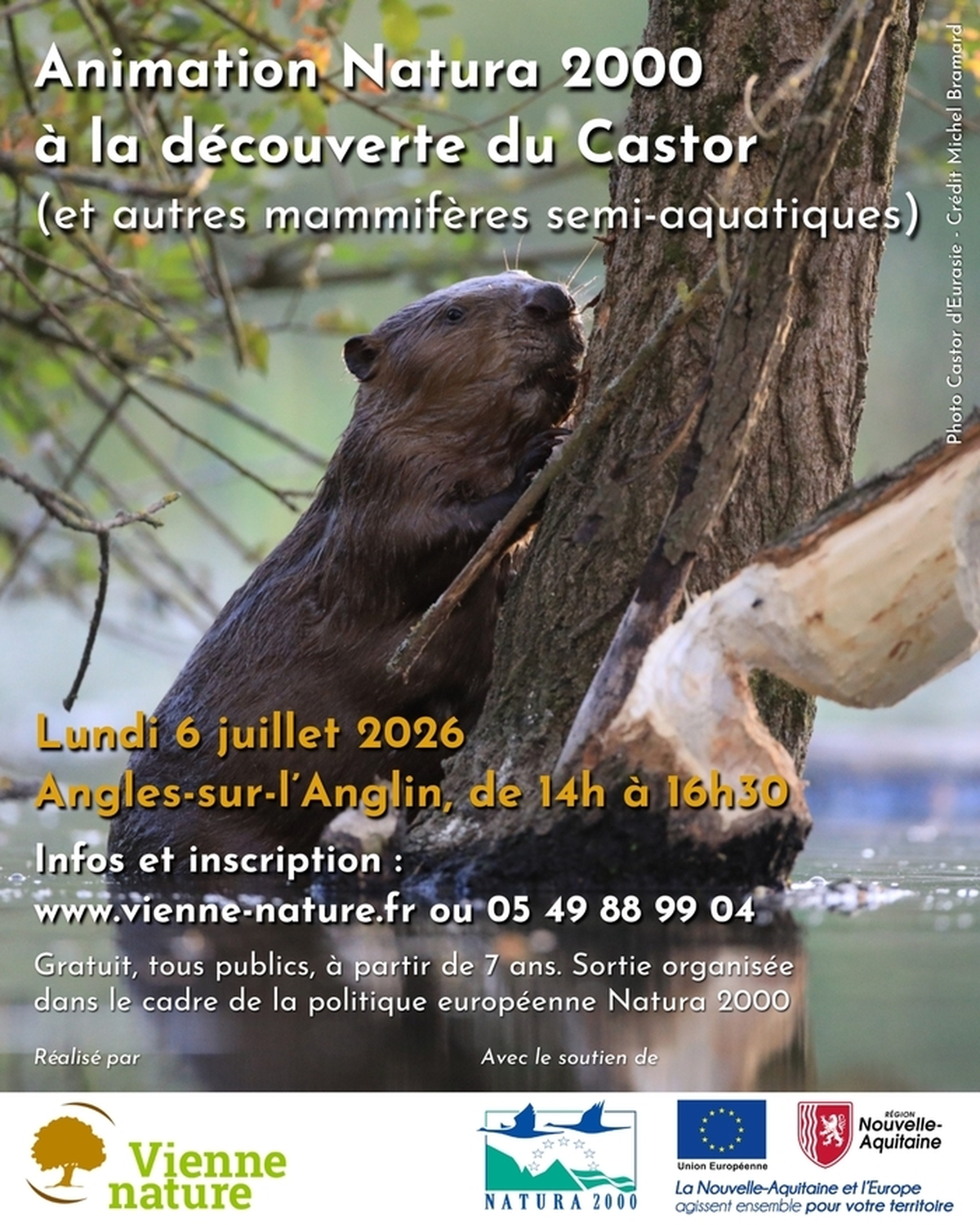Animation Natura 2000 à la découverte du Castor (et autres mammifères semi-aquatiques)