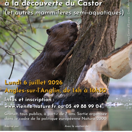 Animation Natura 2000 à la découverte du Castor (et autres mammifères semi-aquatiques)