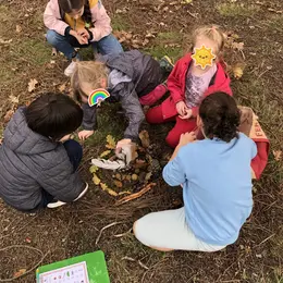 Animation nature