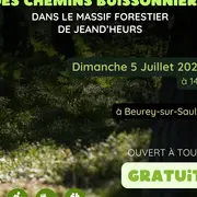 Animation nature : à l'aventure des chemins buissonniers