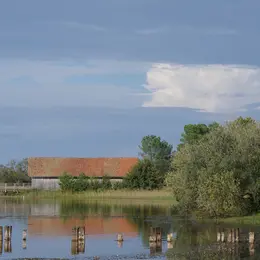 Animation nature - À la croisée des patrimoines
