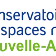 Animation nature : A la découverte des archnides !