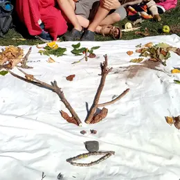 Animation Nature En Famille