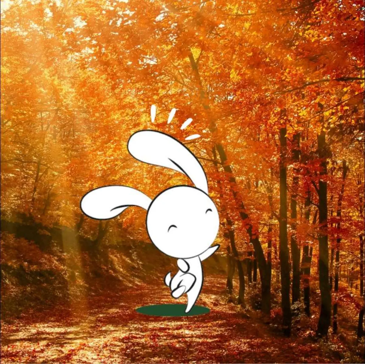 Animation nature en famille : Mission radeau