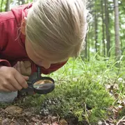 Animation nature en famille : Patte après Patte