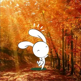Animation nature en famille : Plantes mystiques