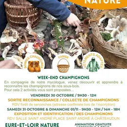 Animation nature - Exposition et identification des champignons