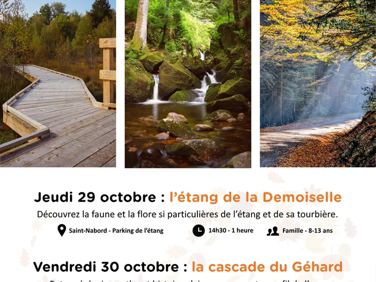 Animation nature : la cascade du Géhard